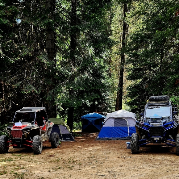 Meet your Posher, Linda - Picture 3 of 8